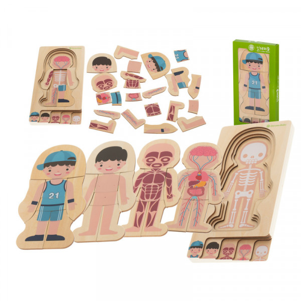 Puzzle drewniane warstwowe budowa ciała montessori chłopiec